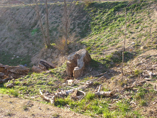 Parque de Valdegurriana tocones Zaragoza