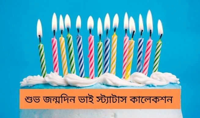 ভাইয়ের জন্মদিনের শুভেচ্ছা sms কালেকশন