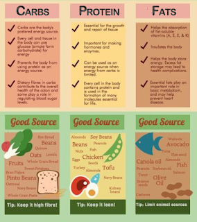 Sumber-macro-nutrient-carbs-protein-fats