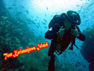 tour karimunjawa