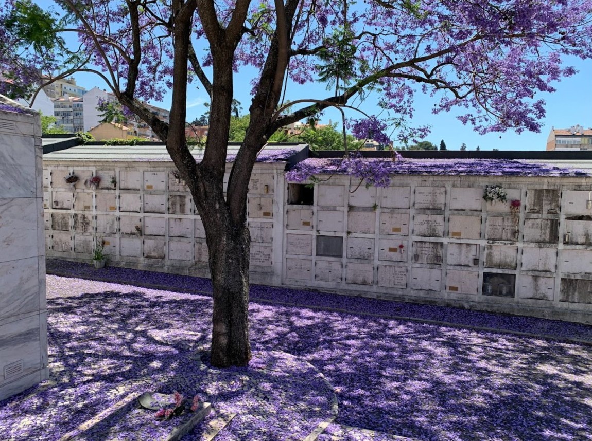 Prazeres Cemetery (Lisbon, Portugal)