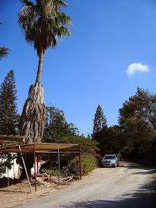 YNG, A view of a road in kibbutz Heftzi-bah, 2013