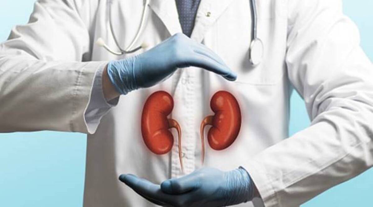 kidney health