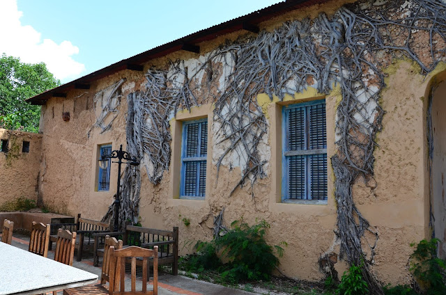 Zanzibar - Prison Island (Changuu)