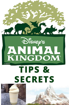 Insider Tips and Secrets for Disney's Animal Kingdom park