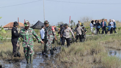  Kodim 0711 Pemalang Gelar Program Pembinaan Lingkungan Hidup Dengan Tanam 1.200 Mangrove