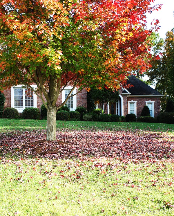 our home