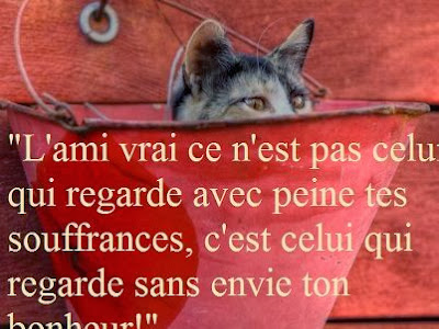 [Les plus sélectionnés] citation vrai ami 286244-Citation vrai ami