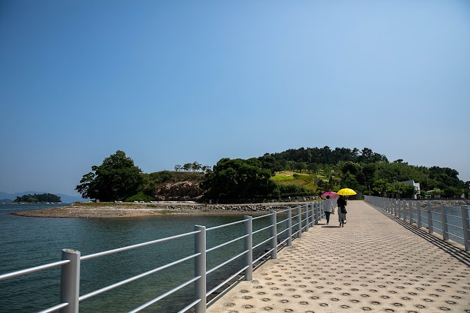 여수여행 장도 수국 명소 물때 예술의 숲