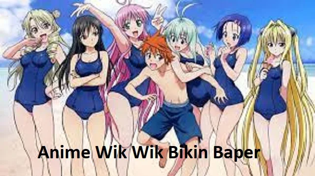 Anime Wik Wik Bikin Baper