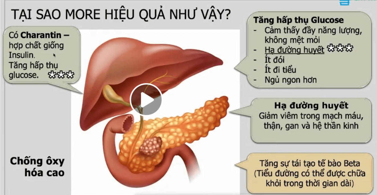 Nước uống hỗ trợ tiểu đường MORE  MORE là thương hiệu thực phẩm chức năng nhập khẩu từ Thái Lan. Sản phẩm được chiết xuất 100% từ thảo mộc tự nhiên với các thành phần có lợi như khổ qua rừng, đông trùng hạ thảo, me rừng, bầu nâu…Chính vì thế, MORE cực kỳ hiệu quả trong việc ổn định đường huyết, phòng chống bệnh tiểu đường, bồi dưỡng sức khỏe, chống mệt mỏi, nhất là đối với người lớn tuổi hoặc những người cần chăm sóc đặc biệt.