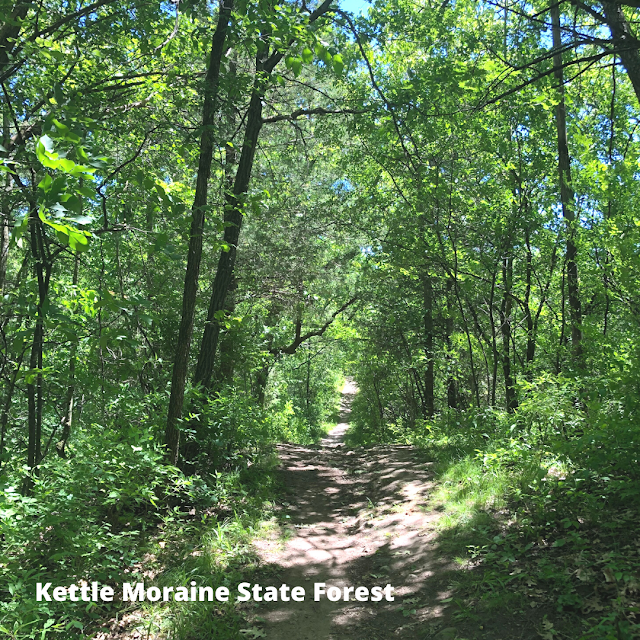 The dense forest at Kettle Moraine State Forest in Wisconsin will quickly engage you in escaping the every day.