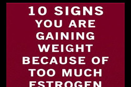 Identifying Estrogen Dominance In The Body And Treating It