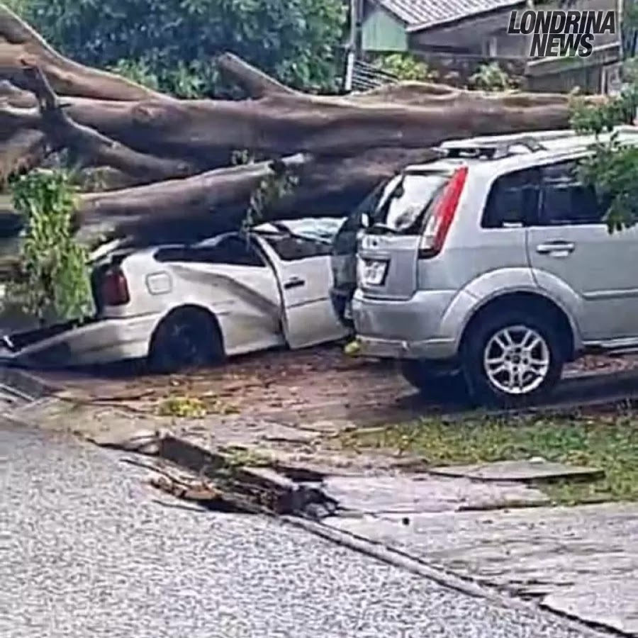 Imagens mostram danos causados por temporal em Cascavel