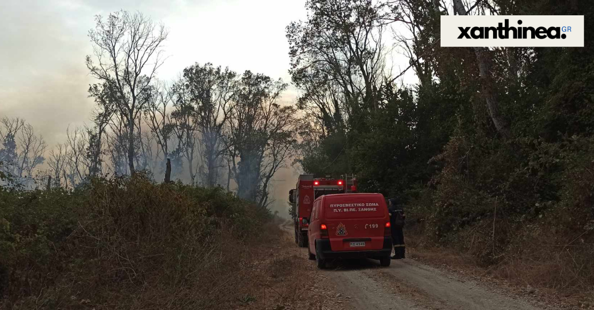 Ξάνθη: Μεγάλη πυρκαγιά στο Δάσος Κοτζά Ορμάν - Σηκώθηκαν εναέρια μέσα [ΒΙΝΤΕΟ]