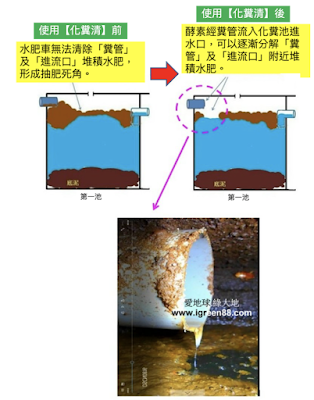 化糞清使用前後