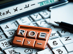 QUE ES EL ``ROE´´Y COMO SE CALCULA??