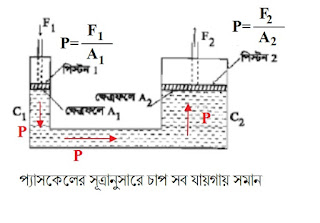 ছবি