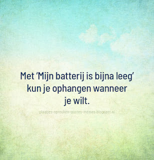 quotes in het nederlands