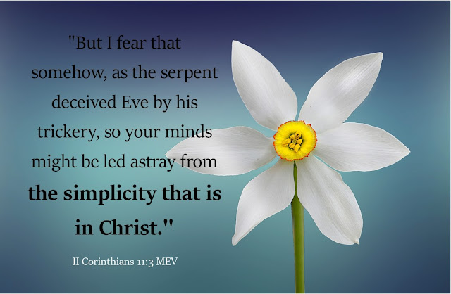 A white flower with a yellow middle sits against a blue background. Text overlay quotes II Corinthians 11:3