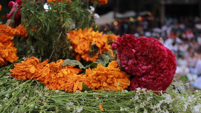 Experiencing Day of the Dead in Michoacan