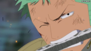 ワンピースアニメ 506話 クライガナ島 ロロノア・ゾロ Roronoa Zoro | ONE PIECE Episode 506