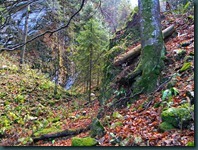 DSCN9870