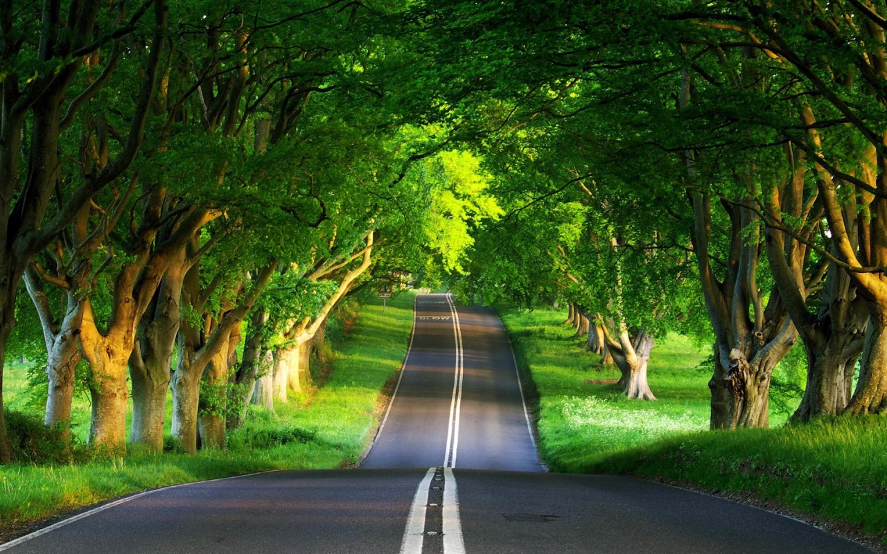 Green Nature HD Wallpapers Green Nature HD Wallpapers : Check out the ...