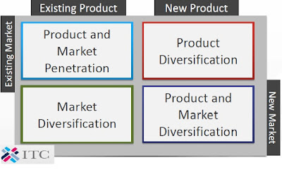 Export Strategy Diagram