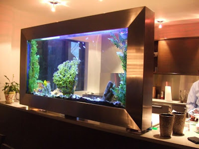 fish aquarium design