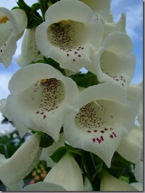 047