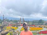 Bimbang