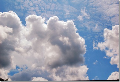 DSC_1258_edited