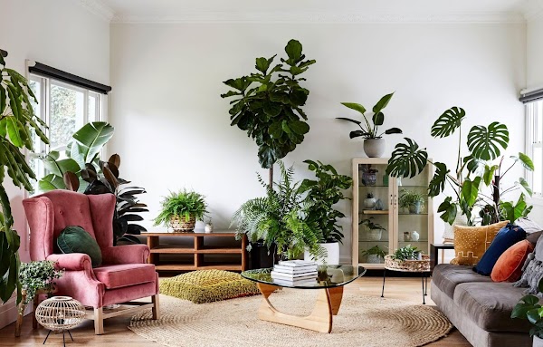 25 Ideas para DECORAR con PLANTAS tu sala de estar