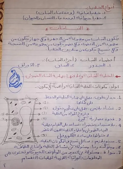 ملامح منهج العلوم الجديد للصف السادس 2024 ترم أول