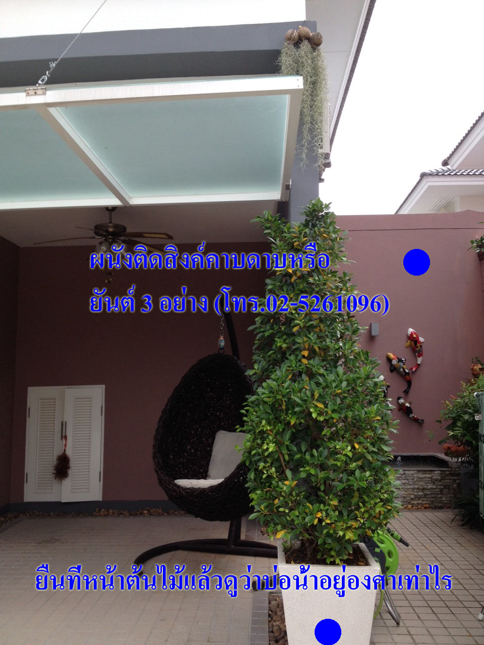 รูปภาพ