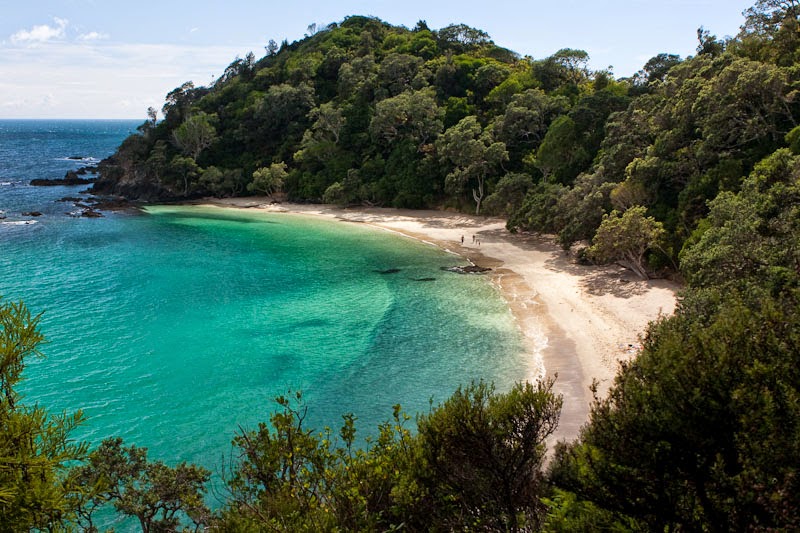 Whale Bay, Raglan-10 Beautiful Beaches in New Zealand