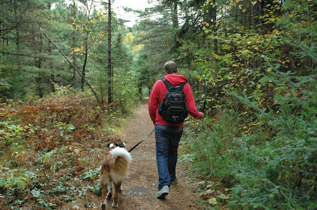 Keira's Provincial Park tours: High Falls, Algonquin Park, Ontario Canada