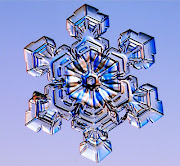. cristalli di neve, sebbene esistano cristalli di forma allungata.