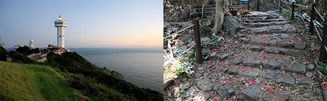 여수-둘레길-거문도-뱃노래길-동백꽃숲길-전경