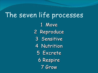 7 life processes grade 4, what are three of the life processes that living organisms do, 7 life processes worksheet, life processes of living things pdf, what is life processes, life processes in human beings, 8 life processes, importance of life processes