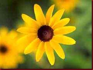 be_sun