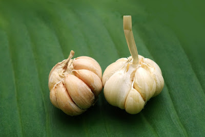 Benefits of Boiled Garlic For Health