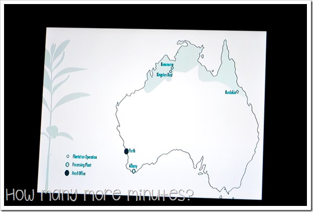 The Sandalwood Factory | How Many More Minutes?