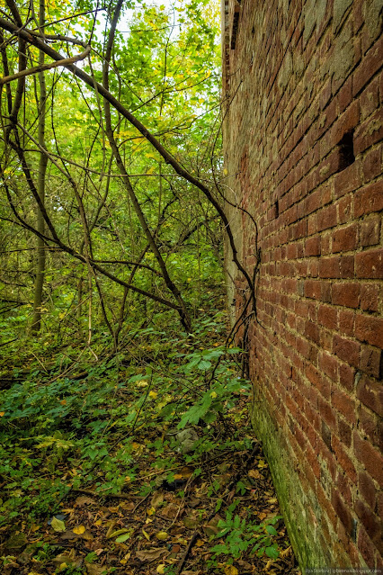 Глухая кирпичная стена среди леса