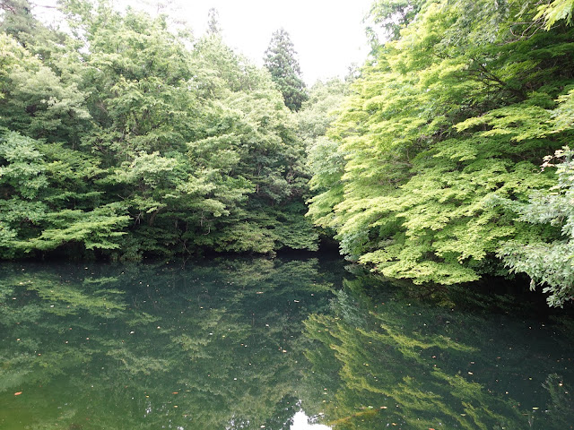 鳥取県西伯郡伯耆町福兼　福永集落　溜池