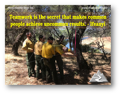 Teamwork is the secret that makes common people achieve uncommon results. - Ifeanyi