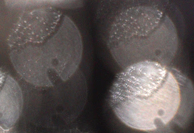 three-part orb pattern