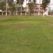 View album