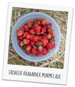 http://kaktusmaedchen.blogspot.de/2014/06/rezept-erdbeer-rhababer-marmelade.html